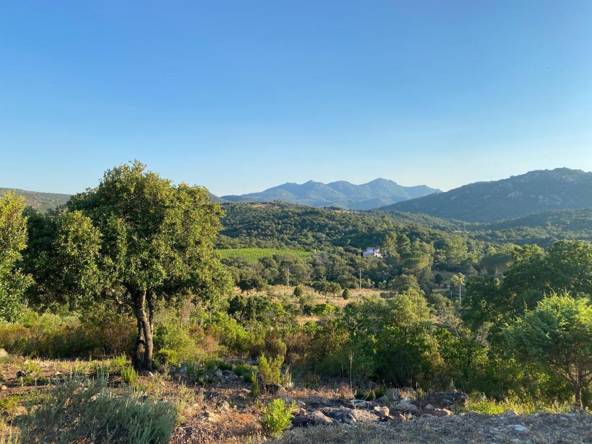 Li Paduleddi Country Guest House Ольбия Экстерьер фото
